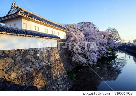 Kajo Park Fresh Morning Spring 山形縣 89005703