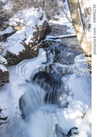 冬季可以看到的栃木縣的觀光景點 89006230