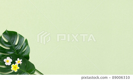 Tropical atmosphere background material Tropical atmosphere background material 89006310