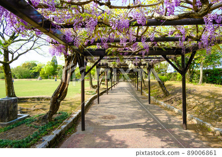 福井縣越前市紫織部公園 福井縣越前市紫織部公園 89006861
