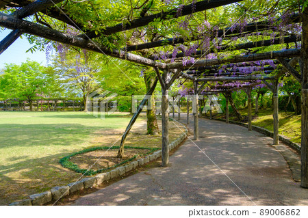 福井縣越前市紫織部公園 89006862