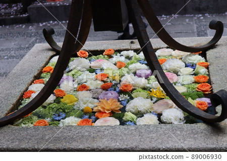 Colorful petals A landscape with water and flowers Colorful petals A landscape with water and flowers 89006930