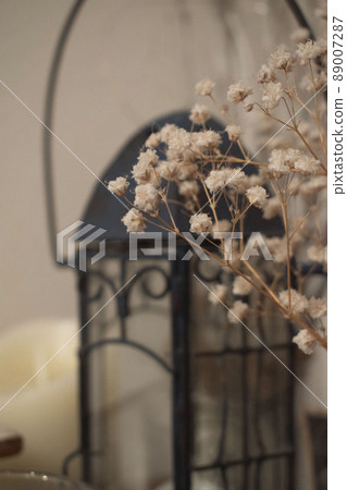 Small items and haze grass placed in the room Small items and haze grass placed in the room 89007287