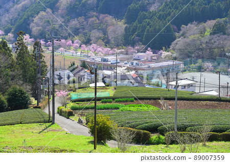 從高處看到的Yadoriki風景<<松田町>> 89007359