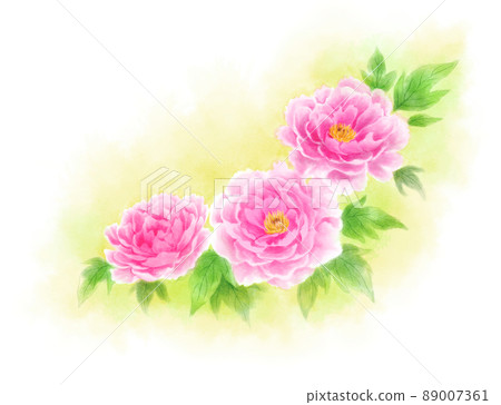 Peony analog watercolor style background yellow 89007361