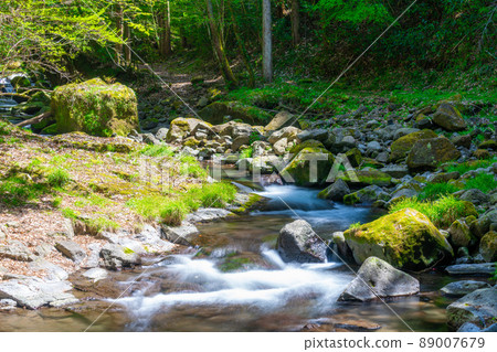《熊本縣》阿蘇區南小國町立岩峽 《熊本縣》阿蘇區南小國町立岩峽 89007679