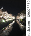 Cherry blossoms at night 89007789