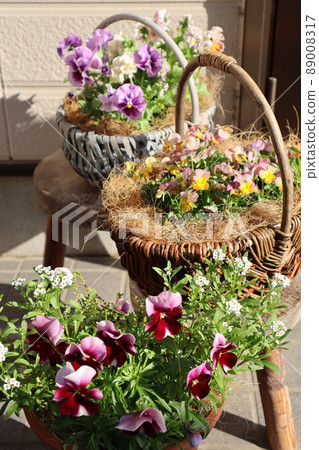 Flower group planting in front of the entrance Flower group planting in front of the entrance 89008317