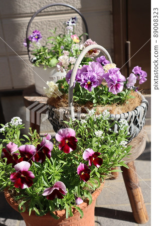 Flower group planting in front of the entrance Flower group planting in front of the entrance 89008323