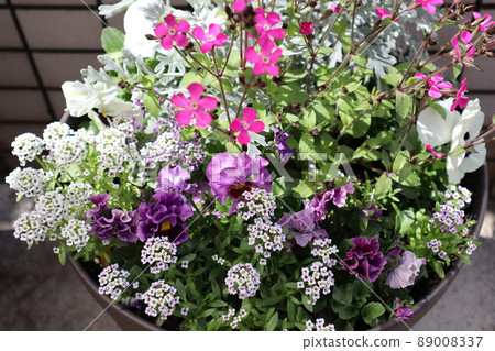 Flower group planting around the entrance 89008337