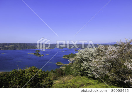 《長崎縣小山展望台》小山展望台的櫻花和伊呂波島風光 89008455