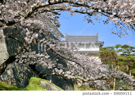 春天Kasumigajo公園(日本松島市福島縣) 春天Kasumigajo公園(日本松島市福島縣) 89009151