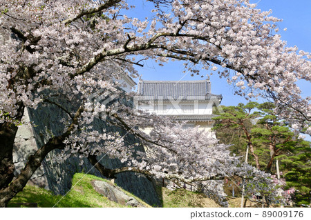 Spring Kasumigajo Park (Fukushima Prefecture, Nihonmatsu City) Spring Kasumigajo Park (Fukushima Prefecture, Nihonmatsu City) 89009176
