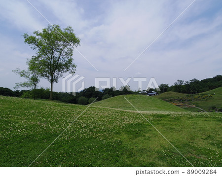Sanuki Manno Park, the lawn of Ryuto no Sato 89009284