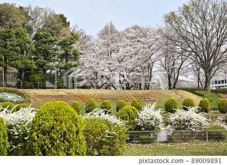 大崎公園公園風景 89009891