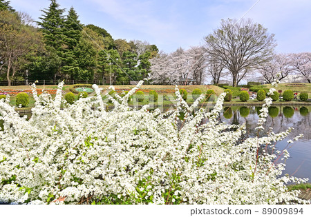 大崎公園公園風景 大崎公園公園風景 89009894