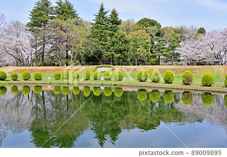 大崎公園公園風景 89009895
