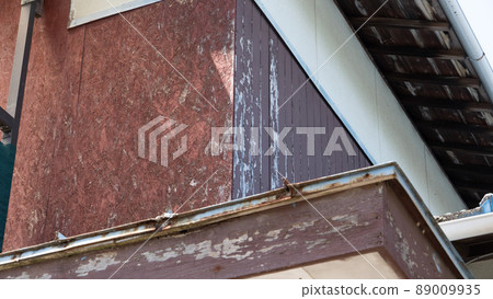 The exterior walls and roof of an old house and the back of a crosspiece 89009935