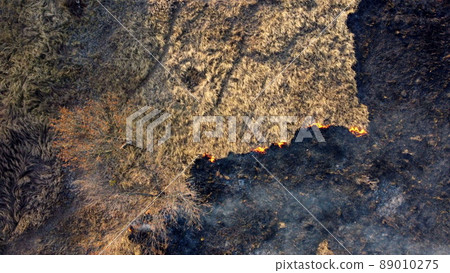 Aerial Drone View Over Burning dry grass and smoke in field. Flame and open fire Aerial Drone View Over Burning dry grass and smoke in field. Flame and open fire 89010275