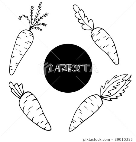 Set of hand drawn carrots in sketch doodle style for posters, recipe, culinary design, easter design, greeting cards. Isolated on white. Doodle vector illustration. Set of hand drawn carrots in sketch doodle style for posters, recipe, culinary design, easter design, greeting cards. Isolated on white. Doodle vector illustration. 89010355