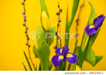 Elegant floral spring, Easter composition of irises, tulips, daffodils and willow twigs located on a table located against a yellow wall in daylight. Elegant floral spring, Easter composition of irises, tulips, daffodils and willow twigs located on a table located against a yellow wall in daylight. 89010911