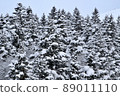 白雪覆蓋的針葉林（法部町） 89011110