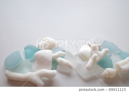 White shells and blue and white seagrass that fill the lower half 89011123