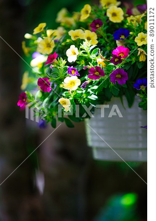 花卉園藝形象 89011172