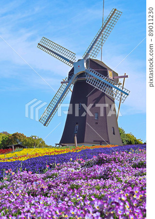鶴見綠地的風車和花田 89011230