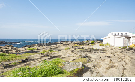 Spring in Jogashima 89012292