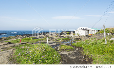 Spring in Jogashima 89012293
