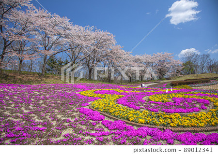 春天陸奧森林湖畔公園 89012341