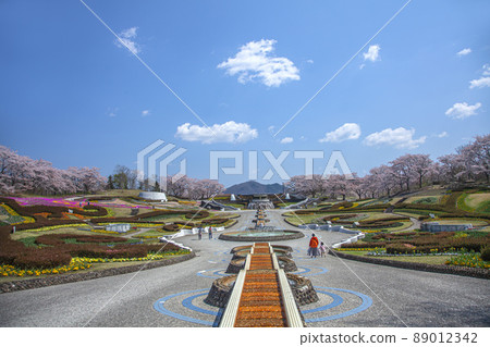春天陸奧森林湖畔公園 89012342