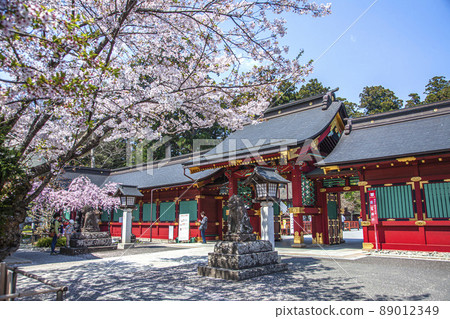 Shiogama Shrine in Spring Shiogama Shrine in Spring 89012349