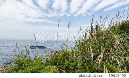 城島的春天 89012490