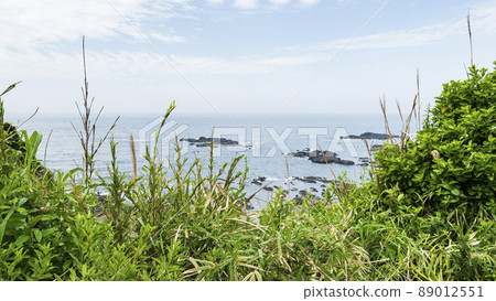 Spring in Jogashima Spring in Jogashima 89012551