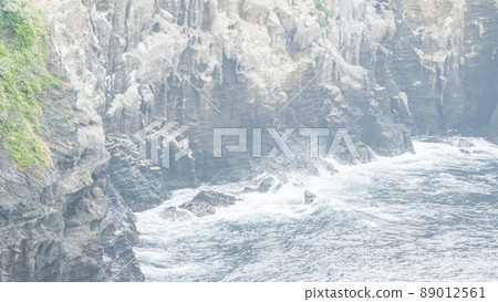 Spring in Jogashima Spring in Jogashima 89012561