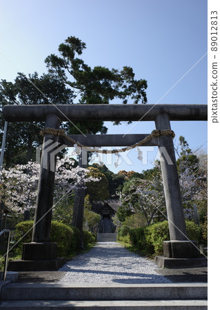 千葉縣南房總市以食神而聞名的高部神社鳥居 89012813