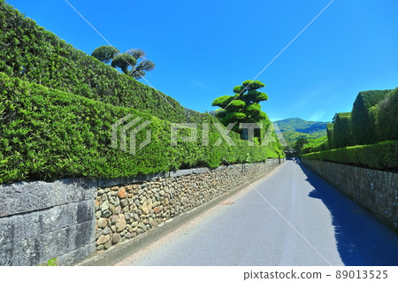 [Kagoshima Prefecture] Chiran Samurai Residence Street under clear skies 89013525