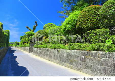 [鹿兒島縣]晴空下的知嵐武士住宅街 89013550