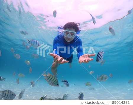 Tourist people diving with snorkel to see nemo fish , beautiful fish and coral at Samaesarn Island of Thailand 89014281