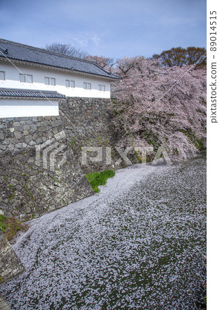 春天Kasagi公園 89014515