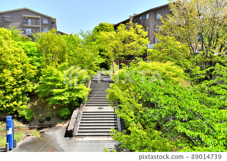 Scenery near Bessho Bridge (Hachioji City, Tokyo) [2022.4] 89014739