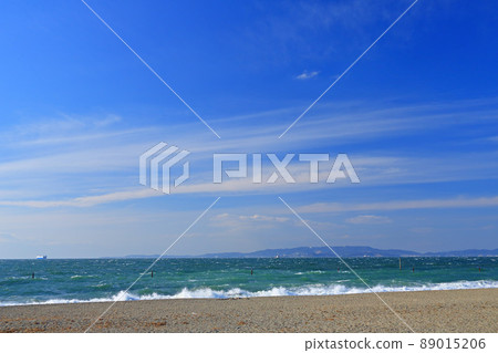 Mikawa Bay [Shiroya Seaside Park, Tahara City, Aichi Prefecture] 89015206
