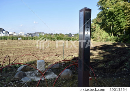 011 一級三角測量站 011 一級三角測量站 89015264