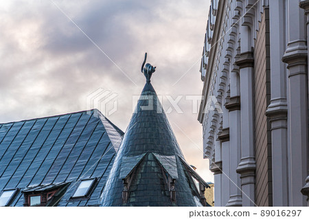 拉脫維亞里加舊城區貓屋 89016297