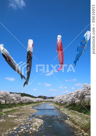 夏井川千本櫻/鯉魚旗（福島縣小野町） 89016955