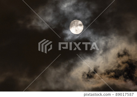 Dudes Dudes 89017587