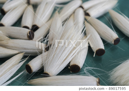 正在建設中的耳頸 正在建設中的耳頸 89017595