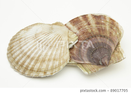 Hokkaido scallops 89017705